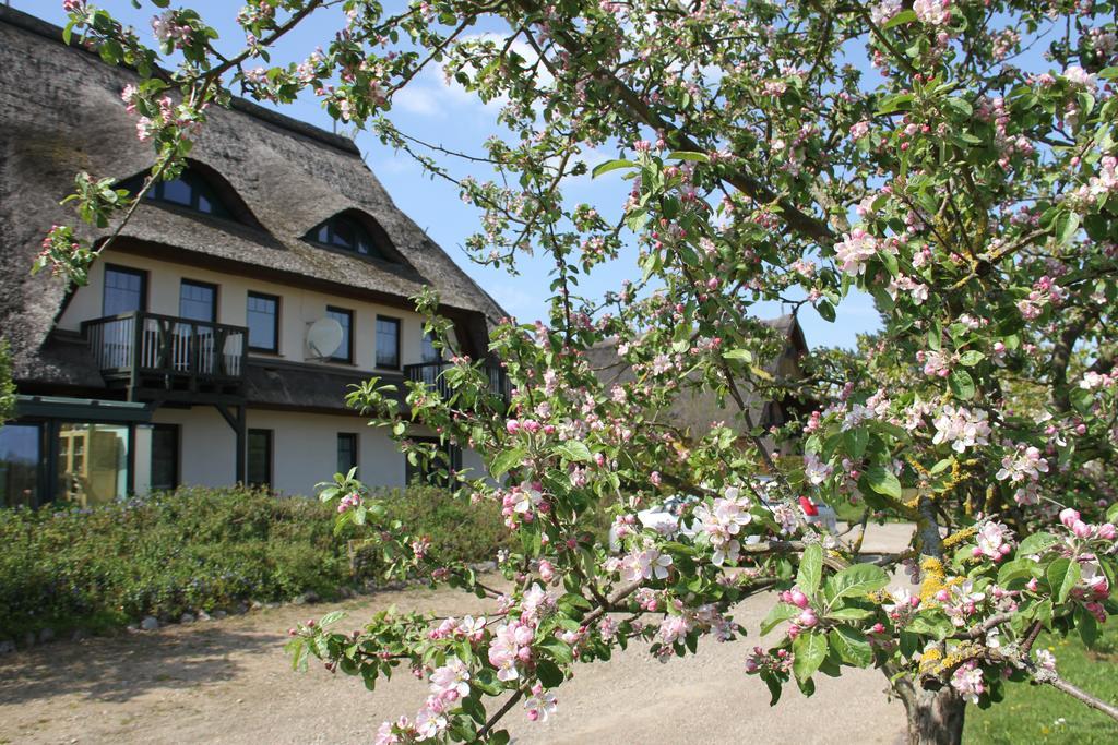 Kur-& Landhotel Borstel - Treff Dabel エクステリア 写真
